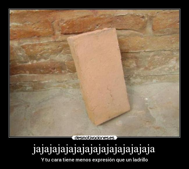 jajajajajajajajajajajajajajaja - Y tu cara tiene menos expresión que un ladrillo