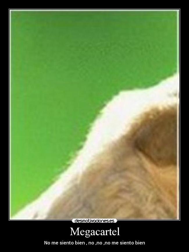 Megacartel - No me siento bien , no ,no ,no me siento bien♪