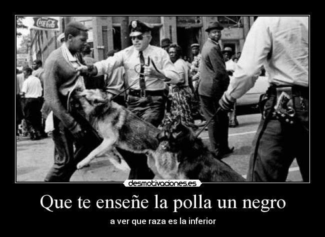 Que te enseñe la polla un negro -