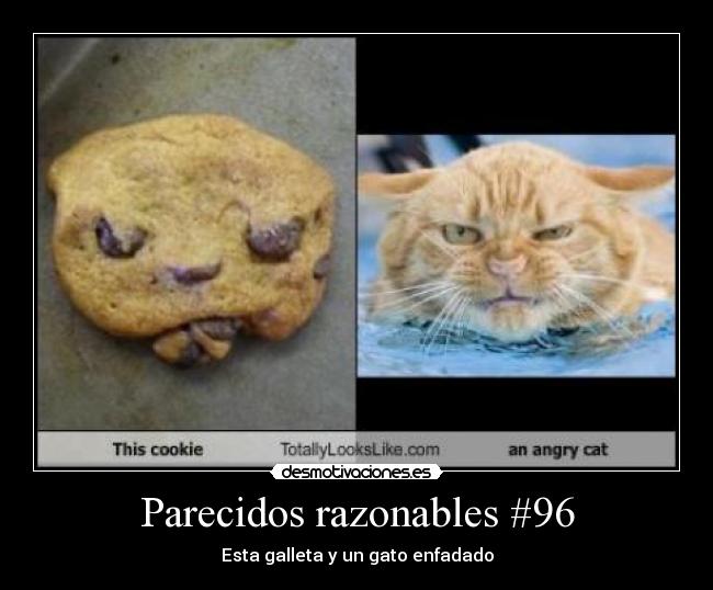 carteles desmotivaciones