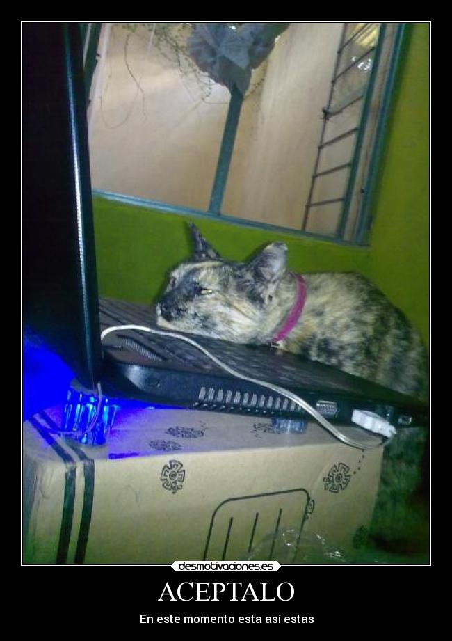 ACEPTALO - En este momento esta así estas