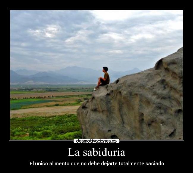 carteles sabiduria desmotivaciones