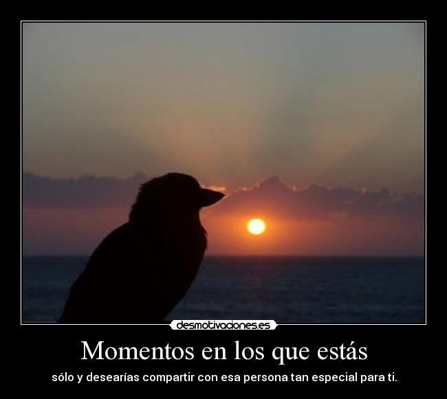 Momentos en los que estás - sólo y desearías compartir con esa persona tan especial para ti.