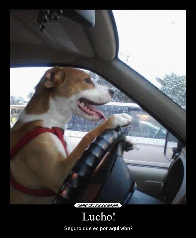 Lucho! Desmotivaciones