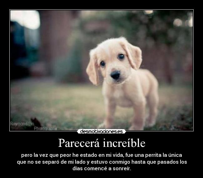 Parecerá increíble -