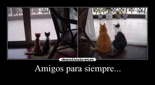 Amigos para siempre... -