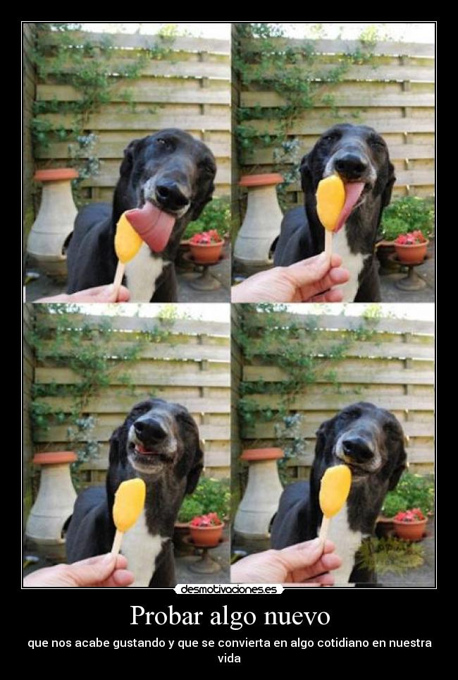 carteles nuevo cotidiano vida 2desmoconcurso desmotivaciones