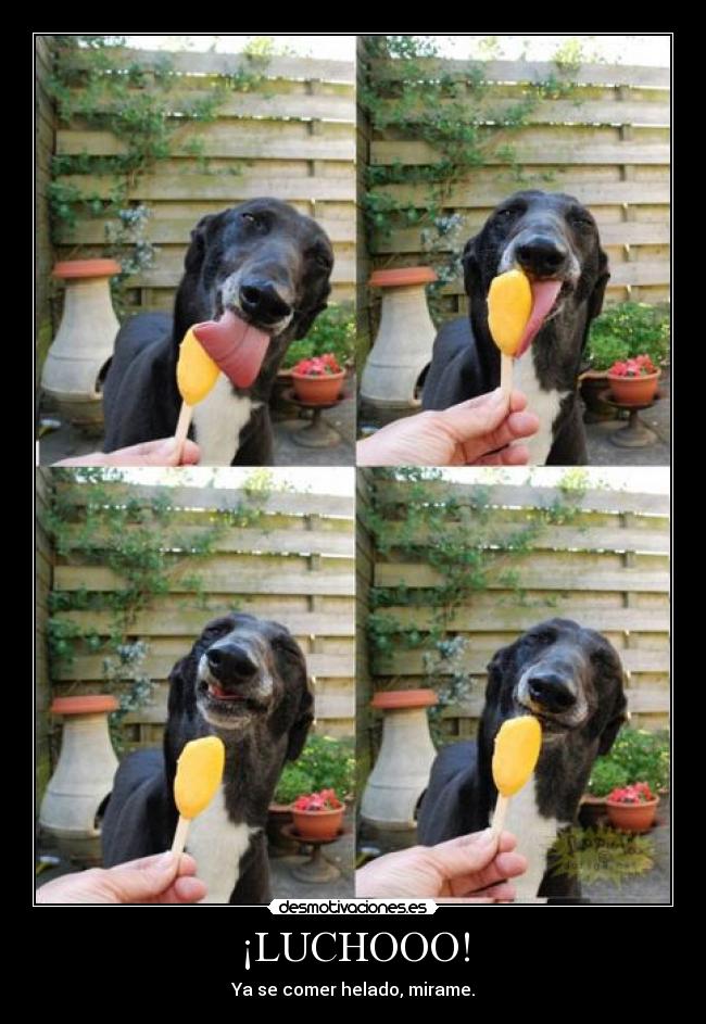 ¡LUCHOOO! - Ya se comer helado, mirame.