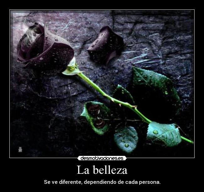 La belleza - Se ve diferente, dependiendo de cada persona.