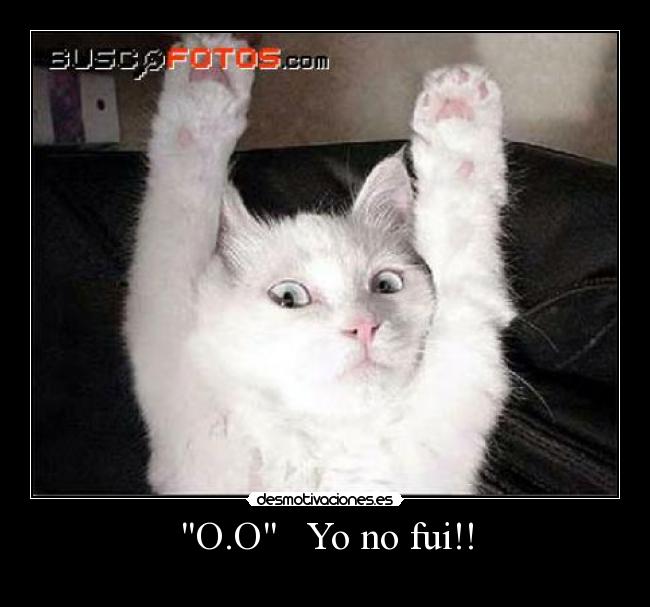 O.O Yo no fui!! -