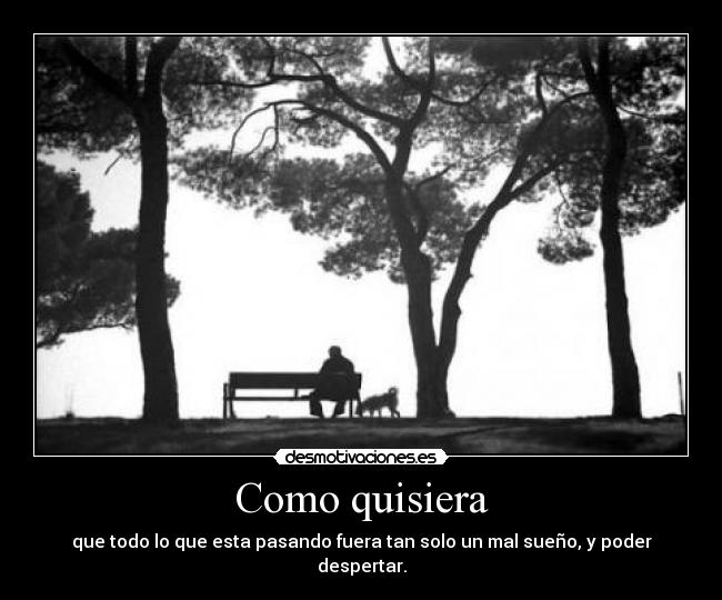 Como quisiera - que todo lo que esta pasando fuera tan solo un mal sueño, y poder despertar.