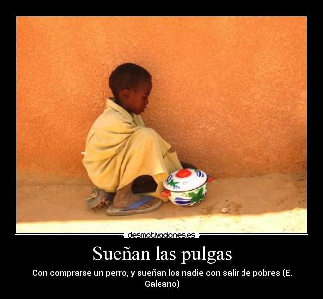 Sueñan las pulgas -