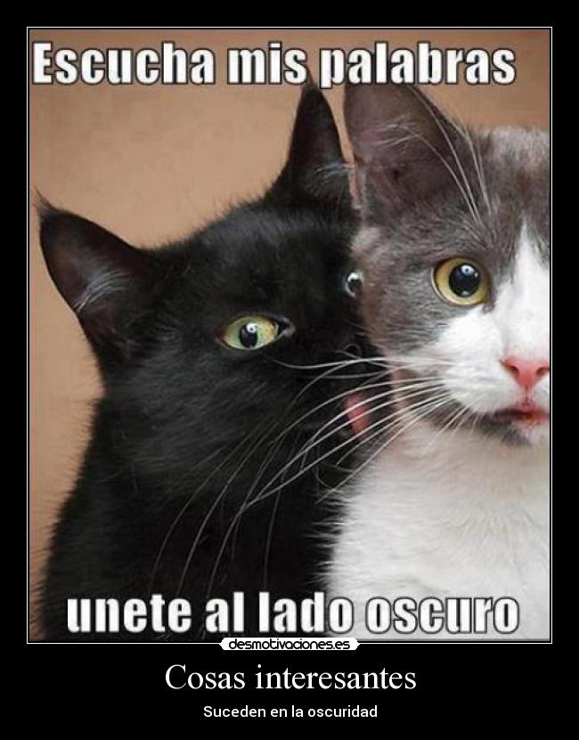 Imagenes De Objetos Interesantes | cosas interesantes desmotivaciones Imagenes De Objetos Interesantes | cosas interesantes desmotivaciones