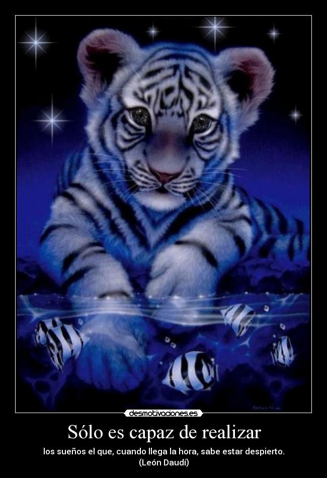 Sólo es capaz de realizar - 