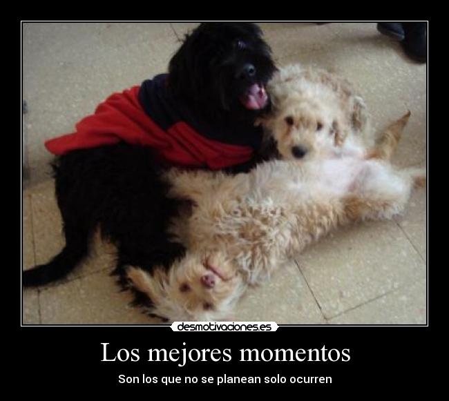 Los mejores momentos - Son los que no se planean solo ocurren