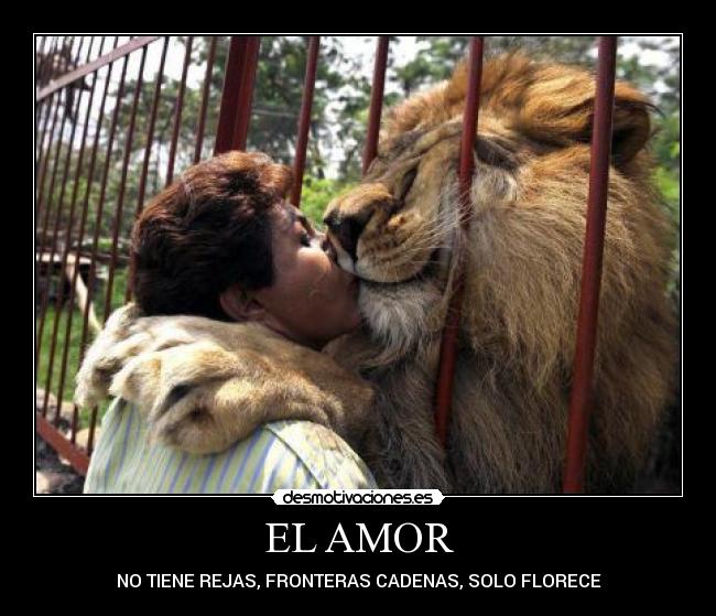 EL AMOR -