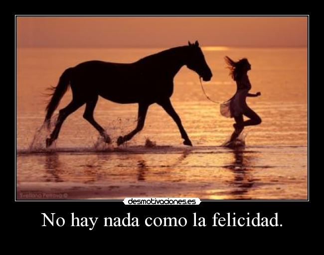No hay nada como la felicidad. - 
