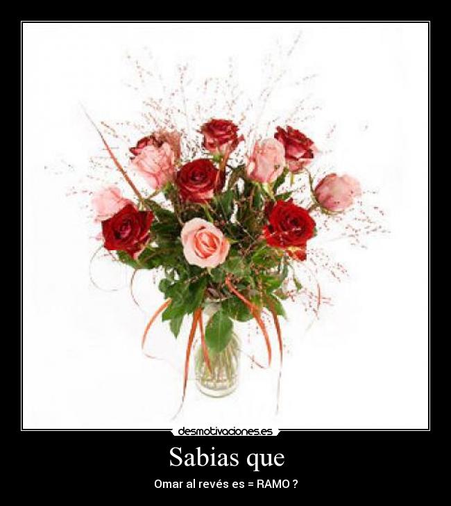 Sabias que - 