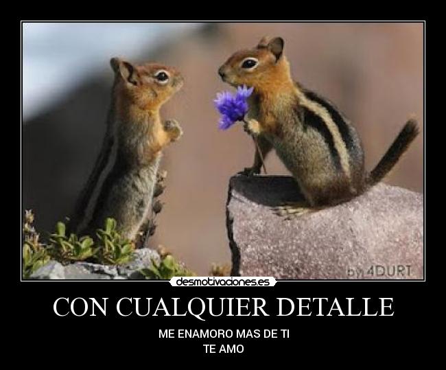 carteles angel desmotivaciones