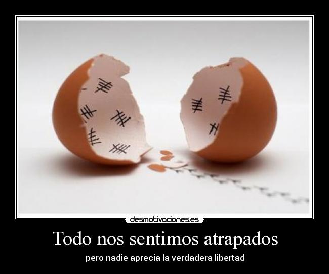 Todo nos sentimos atrapados - pero nadie aprecia la verdadera libertad