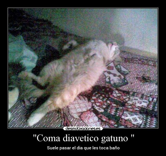 carteles yedid desmotivaciones