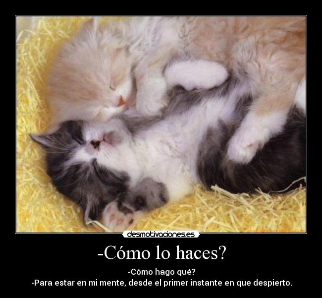 -Cómo lo haces? - -Cómo hago qué?
-Para estar en mi mente, desde el primer instante en que despierto.