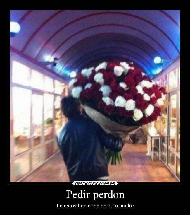 Pedir perdon - Lo estas haciendo de puta madre