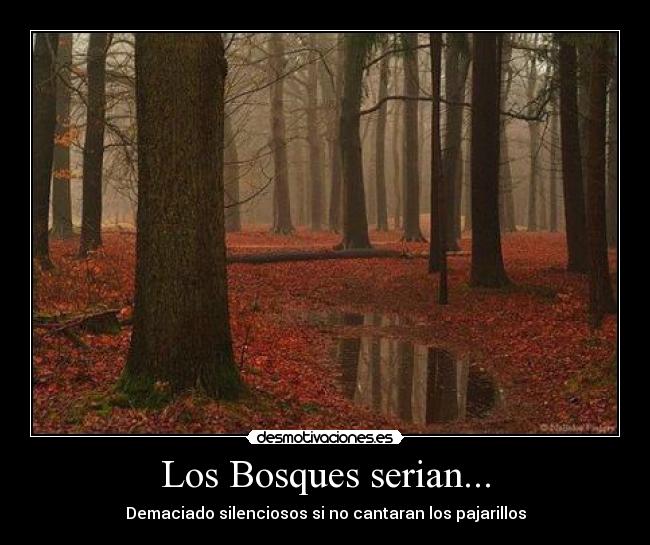 Los Bosques serian... - Demaciado silenciosos si no cantaran los pajarillos