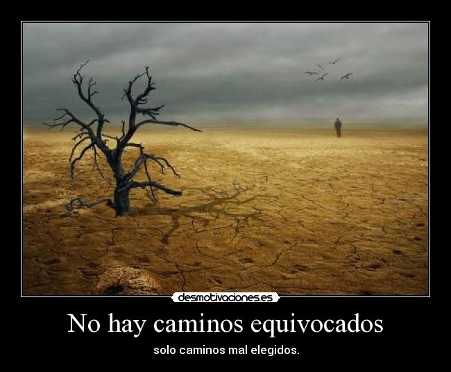 No hay caminos equivocados -