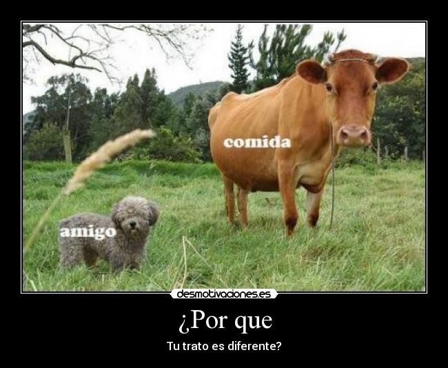 carteles jazmin desmotivaciones