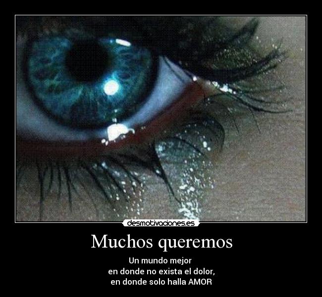 Muchos queremos - Un mundo mejor
en donde no exista el dolor,
en donde solo halla AMOR