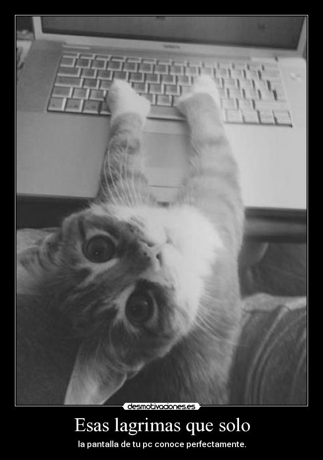 carteles lagrimas computadora desmotivaciones