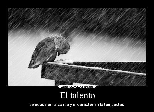 El talento - se educa en la calma y el carácter en la tempestad.