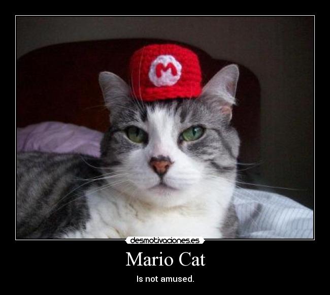 Mario Cat - Is not amused.