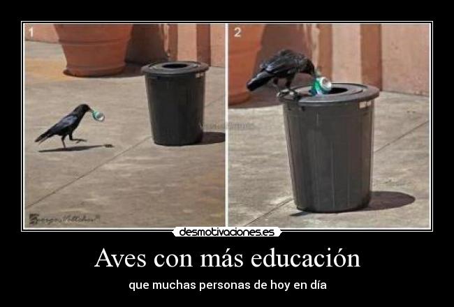 Aves con más educación -