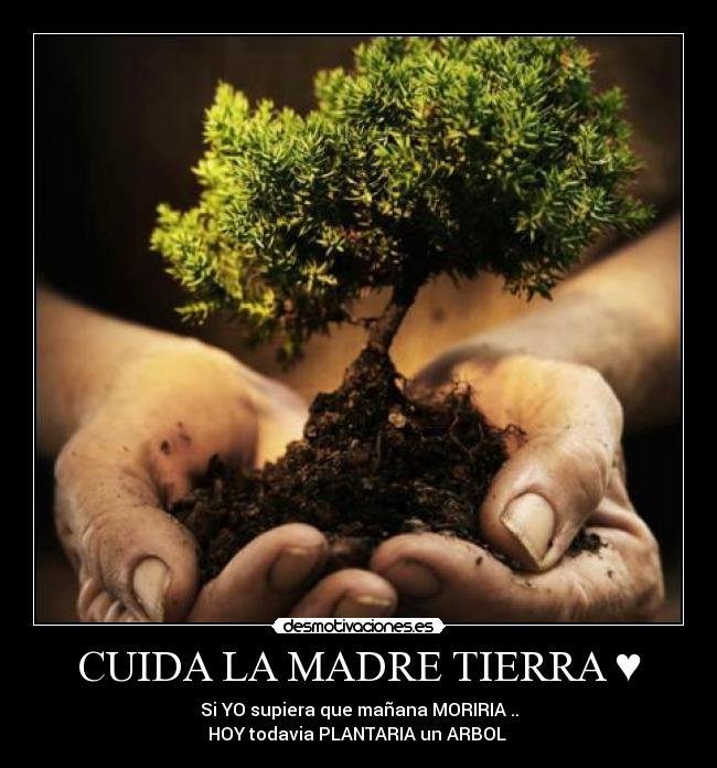 CUIDA LA MADRE TIERRA ♥ - Si YO supiera que mañana MORIRIA ..
HOY todavia PLANTARIA un ARBOL ♥