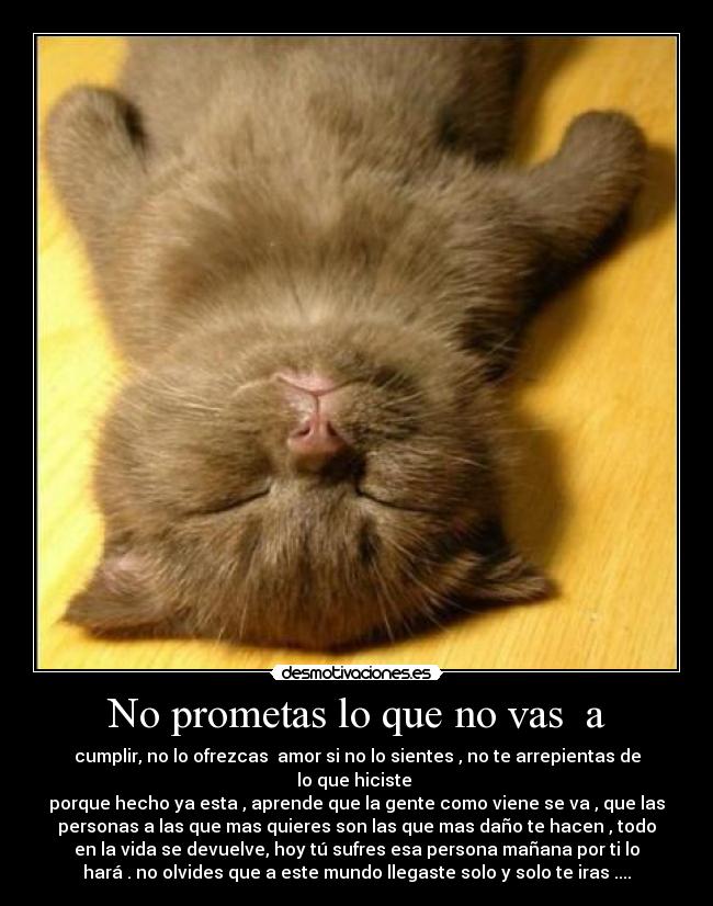 No prometas lo que no vas a - cumplir, no lo ofrezcas amor si no lo sientes , no te arrepientas de
lo que hiciste
porque hecho ya esta , aprende que la gente como viene se va , que las
personas a las que mas quieres son las que mas daño te hacen , todo
en la vida se devuelve, hoy tú sufres esa persona mañana por ti lo
hará . no olvides que a este mundo llegaste solo y solo te iras ....