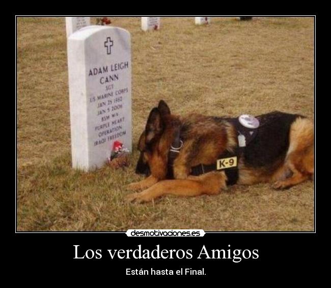 carteles amigos final amigos verdaderos desmotivaciones