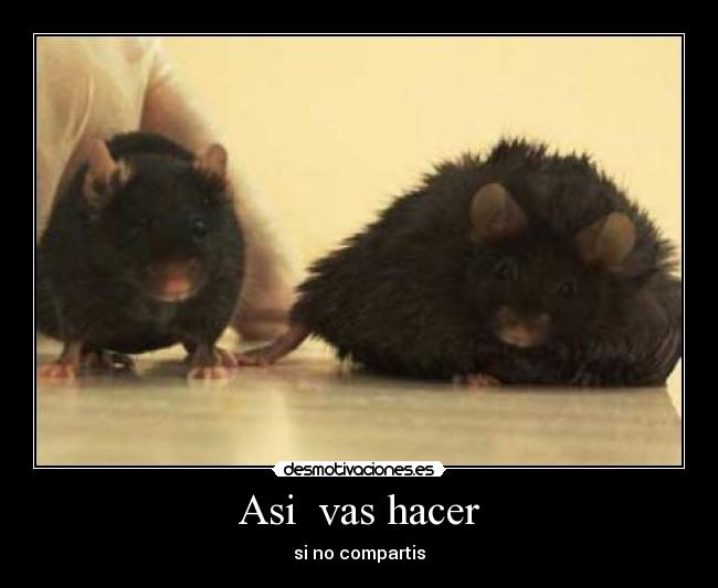 Asi vas hacer -