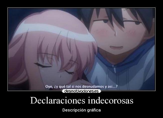 Declaraciones indecorosas - Descripción gráfica