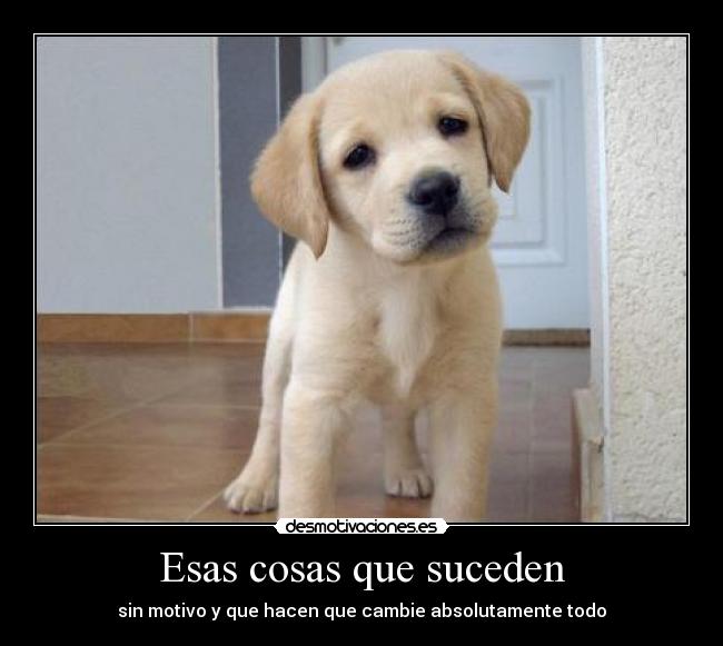 Esas cosas que suceden - 