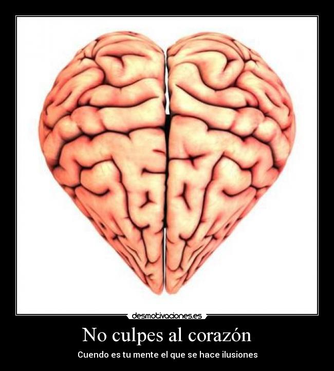 No culpes al corazón - Cuendo es tu mente el que se hace ilusiones