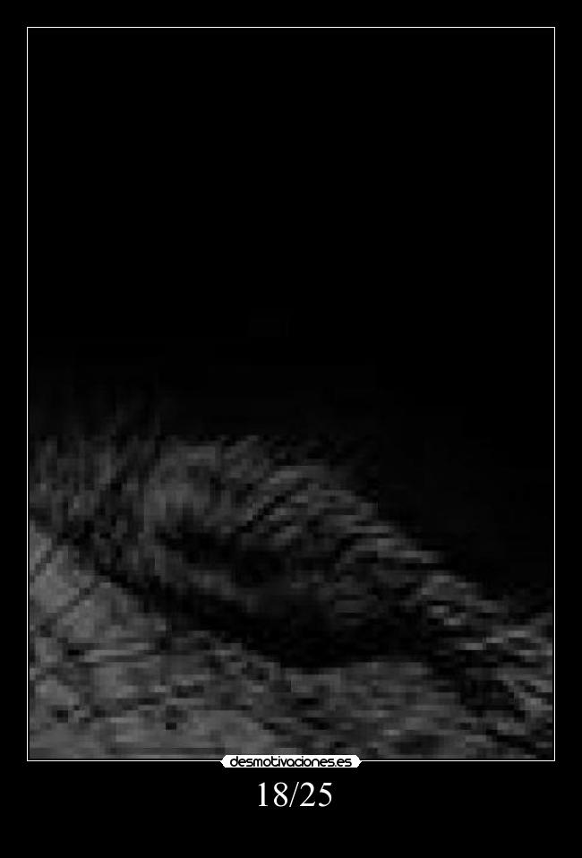 carteles dimont desmomanada megacartel desmotivaciones