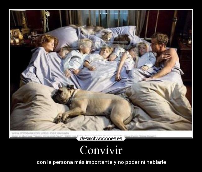 Convivir - con la persona más importante y no poder ni hablarle
