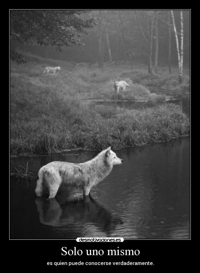 Solo uno mismo - es quien puede conocerse verdaderamente.