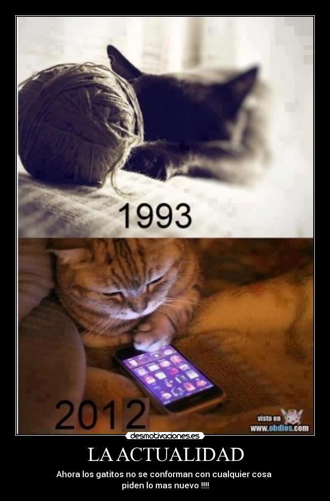 LA ACTUALIDAD - Ahora los gatitos no se conforman con cualquier cosa
piden lo mas nuevo !!!!
