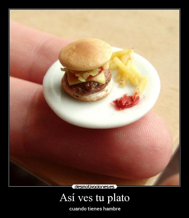 Así ves tu plato -