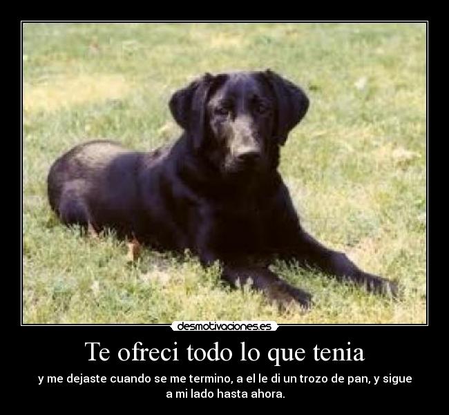 Te ofreci todo lo que tenia - y me dejaste cuando se me termino, a el le di un trozo de pan, y sigue
a mi lado hasta ahora.
