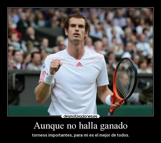 carteles murray desmotivaciones