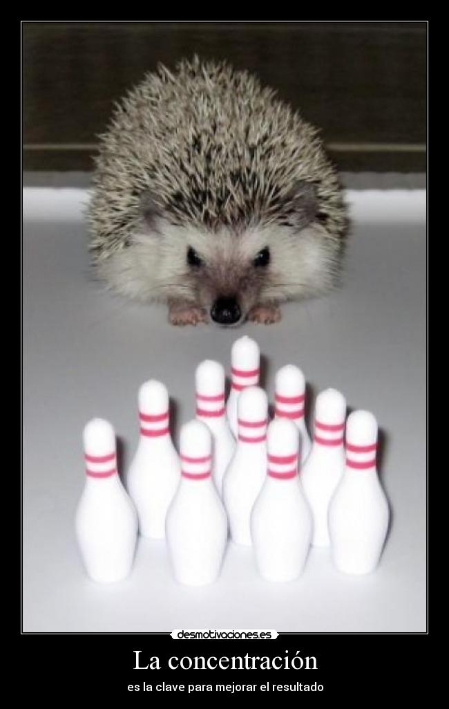 La concentración - es la clave para mejorar el resultado